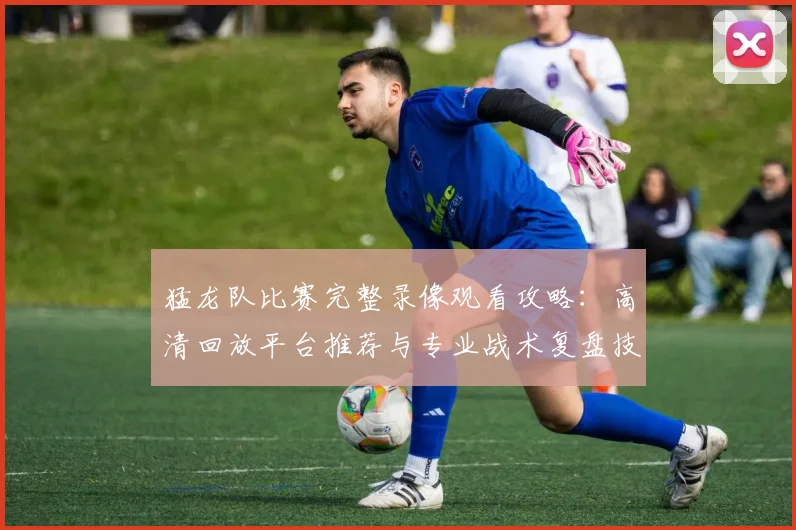 猛龙队比赛完整录像观看攻略：高清回放平台推荐与专业战术复盘技巧